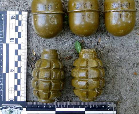 vkh:3480.2017