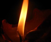 vkh:39089.2009