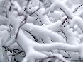 meteo:39919.2009