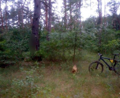 vkh:5007.2018