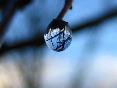 meteo:56089.2010