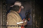 media:56137.2010