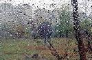 meteo:56345.2010