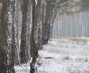 vkh:664.2014