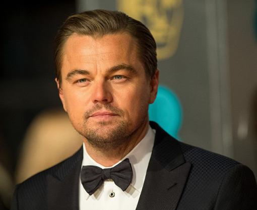 vkh:7333.2017