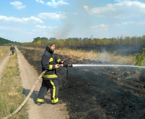 vkh:7535.2017