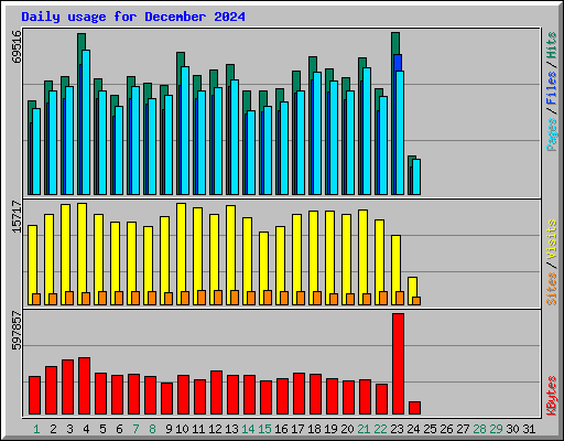 Daily usage for December 2024