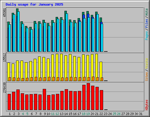 Daily usage for January 2025