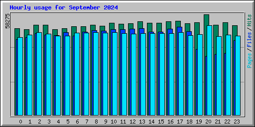 Hourly usage for September 2024