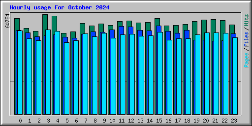 Hourly usage for October 2024