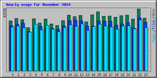 Hourly usage for November 2024