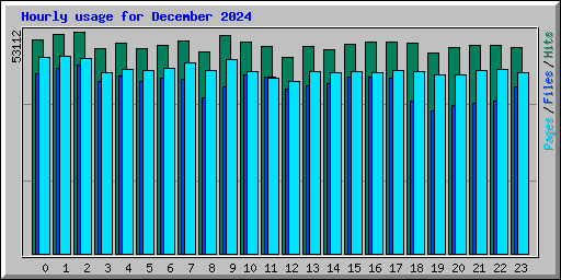 Hourly usage for December 2024