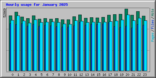 Hourly usage for January 2025